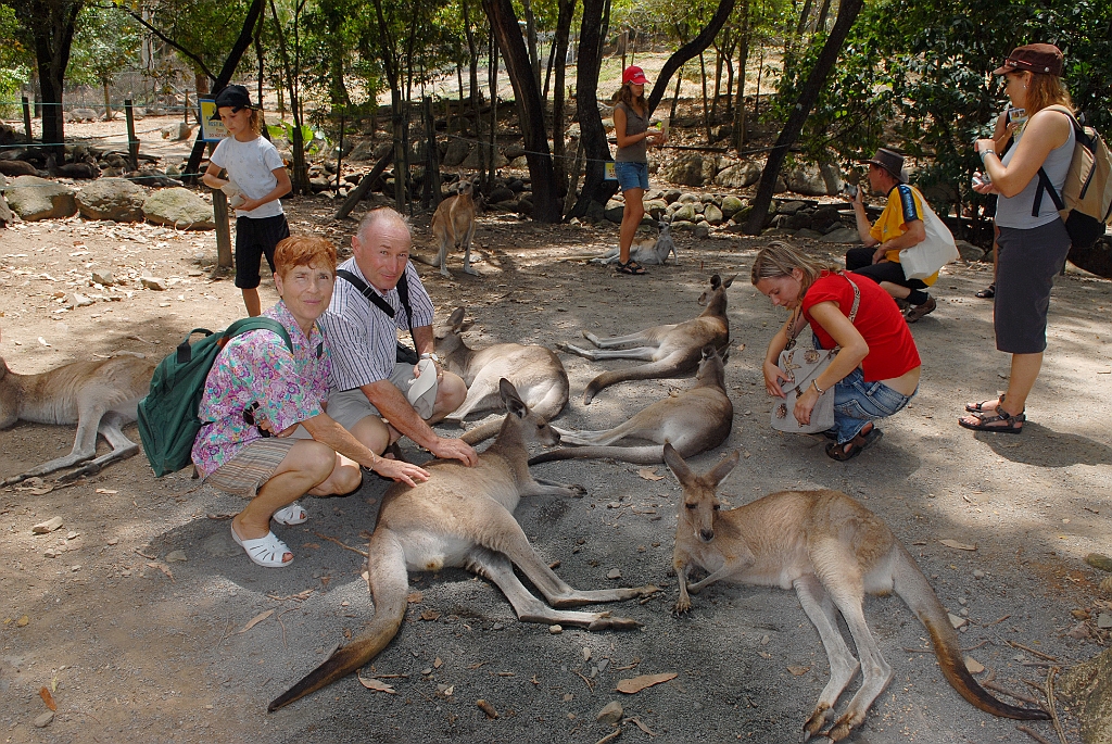 0082 Cairns Tropical Zoo.jpg